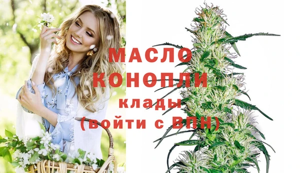 скорость Сосновка