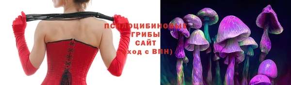 ешки Сосновоборск